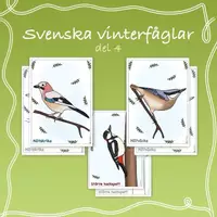 förhandsvisning - Målarbilder stannfåglar: nötväcka, nötskrika, större hackspett - försättsblad