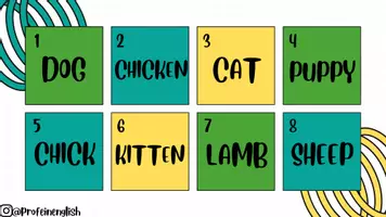 Aperçu - Jeux - Attention: Animaux et leurs petits! Anglais. - Page 1