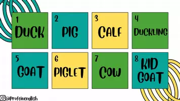 Aperçu - Jeux - Attention: Animaux et leurs petits! Anglais. - Page 2