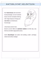 Vorschau - Stundenentwürfe - Biologie: sexuelle Selektion - Unterrichtsentwurf - Seite 2