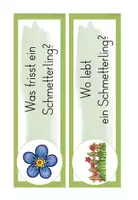Vorschau - Anderer Materialtyp - 1./2.Klasse: Reihentransparenz zum Thema Schmetterling - Seite 3