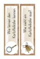Vorschau - Anderer Materialtyp - 2./3. Klasse: Reihentransparenz zum Thema Kartoffel - Seite 3