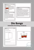 Vorschau - Arbeitsblätter - Die Bongo - Deckblatt