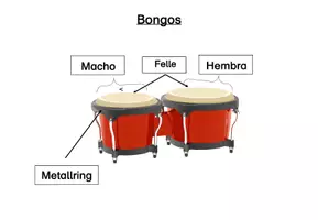 Vorschau - Arbeitsblätter - Die Bongo - Seite 3