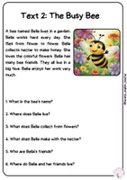 Vorschau - Arbeitsblätter - LESEVERSTÄNDNISBUCH (8-10 JAHRE) - Seite 3