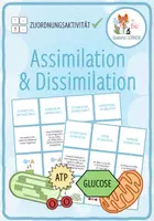 Vorschau - Spiele - Stoffwechsel: Assimilation und Dissimilation – Zuordnungsaktivitiät - Deckblatt