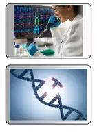 Vorschau - Poster - Genetik - Vererbung - DNA - Tafelkarten - Seite 1