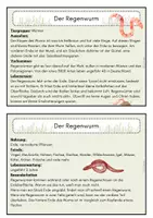 Vorschau - Stationenlernen - Wiesentiere Karteikarten zweiseitig - Seite 2