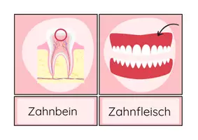 Vorschau - Bildkarten - Mein Körper ist besonders! Materialpaket - Seite 3