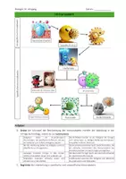 Vorschau - Arbeitsblätter - Ablauf der Immunabwehr - Seite 1