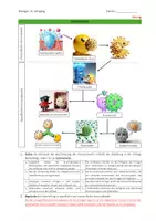 Vorschau - Arbeitsblätter - Ablauf der Immunabwehr - Seite 2