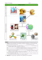 Vorschau - Arbeitsblätter - Ablauf der Immunabwehr - Seite 3