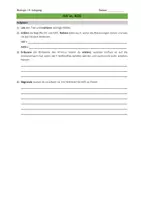 Vorschau - Arbeitsblätter - Arbeitsblätter mit allgemeinen Informationen zu HIV & AIDS - Seite 2