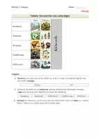Vorschau - Arbeitsblätter - Beispiele den Kennzeichen des Lebendigen zuordnen - Seite 3