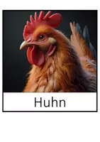 Vorschau - Präsentationen/Tafelbilder - Tafelbilder zu Beispielen für Haus- und Nutztiere - Seite 1