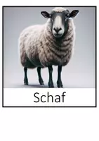 Vorschau - Präsentationen/Tafelbilder - Tafelbilder zu Beispielen für Haus- und Nutztiere - Seite 3