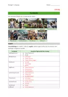Vorschau - Arbeitsblätter - Hundejobs - Seite 3
