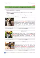 Vorschau - Arbeitsblätter - Hunderassen als potenzielle Schulhunde - Seite 2