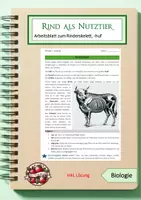 Vorschau - Arbeitsblätter - Rinderkörperbau und Hufe - Deckblatt