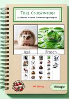 Vorschau - Poster - Tiere ihren Überwinterungsstrategien zuordnen - Deckblatt
