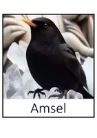 Vorschau - Poster - Tiere ihren Überwinterungsstrategien zuordnen - Seite 1
