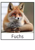 Vorschau - Poster - Tiere ihren Überwinterungsstrategien zuordnen - Seite 2