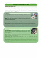 Vorschau - Arbeitsblätter - Überwinterungsstrategien - Seite 1