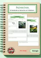 Vorschau - Arbeitsblätter - Unterrichtsreihe: Bio 5: Angepasstheit - Seite 1