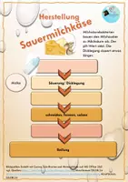Vorschau - Unterrichtsreihen - Alles Käse oder was? Fakten, Sensorik und Frischkäseherstellung - Seite 3