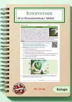 Vorschau - Arbeitsblätter - Fotosynthese - Theorie - Deckblatt