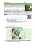 Vorschau - Arbeitsblätter - Fotosynthese - Theorie - Seite 1