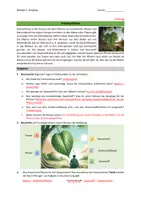 Vorschau - Arbeitsblätter - Fotosynthese - Theorie - Seite 2