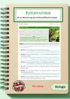 Vorschau - Unterrichtsreihen - Unterrichtsreihe: Bio 5: Botanik - Seite 1