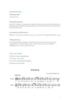 Vorschau - Arbeitsblätter - Förderung exekutiver Funktionen Musikspiel "Schulweg" - Seite 2