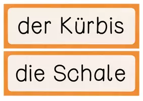 Vorschau - Poster - Aufbau des Kürbis - Tafelmaterial mit Bildkarten und Textkarten - Bestandteile Kürbis - Seite 3