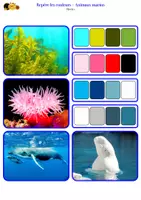 Aperçu - Jeux - Repère les couleurs - Animaux marins - Page 3