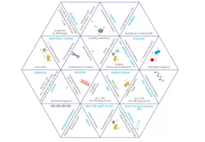 Vorschau - Spiele - DNA Struktur und Aufbau – Dreieck Domino Spiel (Abitur) - Seite 1