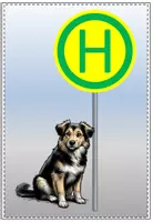 Vorschau - Poster - Haltestelle Hundeklasse - Seite 2