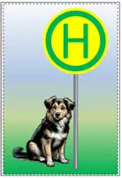 Vorschau - Poster - Haltestelle Hundeklasse - Seite 3