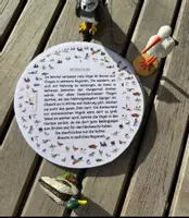 Vorschau - Arbeitsblätter - Zugvögel Abschreibkarten - Deckblatt