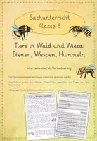 Vorschau - Arbeitsblätter - Leseübungen zum sinnentnehmenden Lesen: Bienen, Wespen, Hummeln - Deckblatt