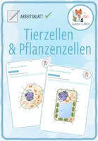 Vorschau - Arbeitsblätter - Tierzellen und Pflanzenzellen – 4x Aktivitäten und Spiele - Seite 1