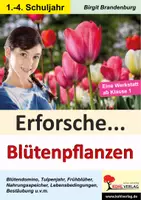 Vorschau - Unterrichtsreihen - Erforsche Blütenpflanzen | Sachunterricht Grundschule Klasse 1–4 | Tulpe, Frühblüher, Bestäubung, Zwiebel, Keimversuche, Blütendomino, Differenzierung | Arbeitsblätter, Kopiervorlagen, Freiarbeit, Lösungen - Deckblatt