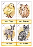 Vorschau - Audio-Dateien - AnybookPro Material: Rätsel-Schreib-Spaziergang "Schwalaut" - Seite 3