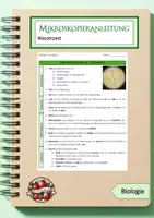 Vorschau - Arbeitsblätter - Mikroskopieranleitung: Wasserpest - Deckblatt