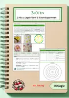 Vorschau - Arbeitsblätter - Blütenlegebilder und Blütendiagramme - Deckblatt