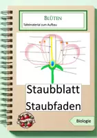 Vorschau - Präsentationen/Tafelbilder - Tafelmaterial: Blütenaufbau - Deckblatt