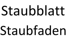 Vorschau - Präsentationen/Tafelbilder - Tafelmaterial: Blütenaufbau - Seite 2