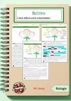 Vorschau - Arbeitsblätter - Blütenaufbau - Deckblatt