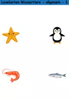 Vorschau - Arbeitsblätter - Lesekarten/Bildkarten Tiere im Wasser einfach - DaZ/DaF, Deutsch (Grundschule) - Seite 3